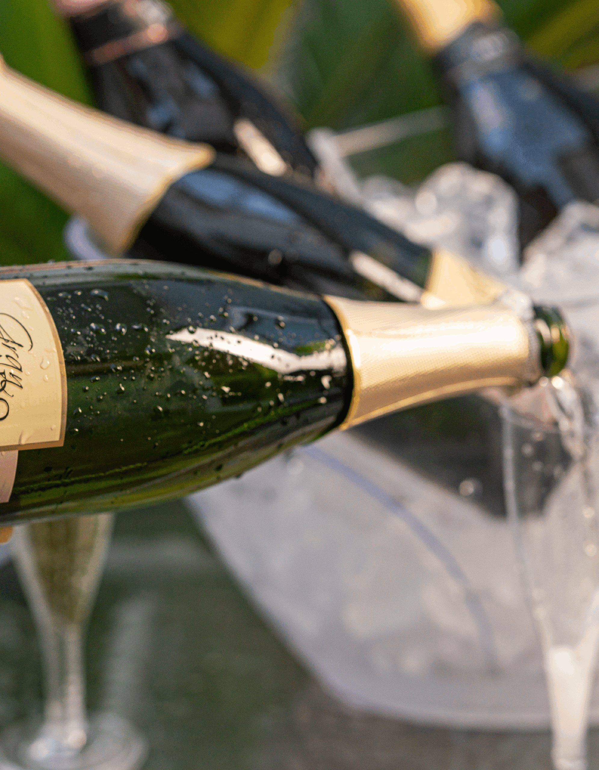 Gran Legado Brut Charmat